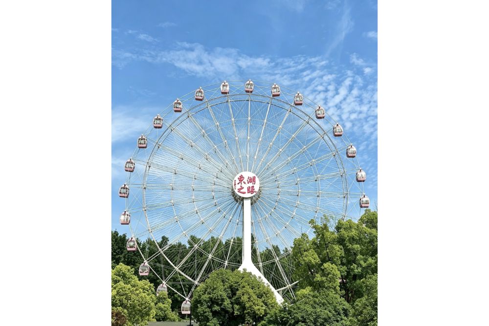 未命名的设计 - 2026-07-15T171533.637.jpg