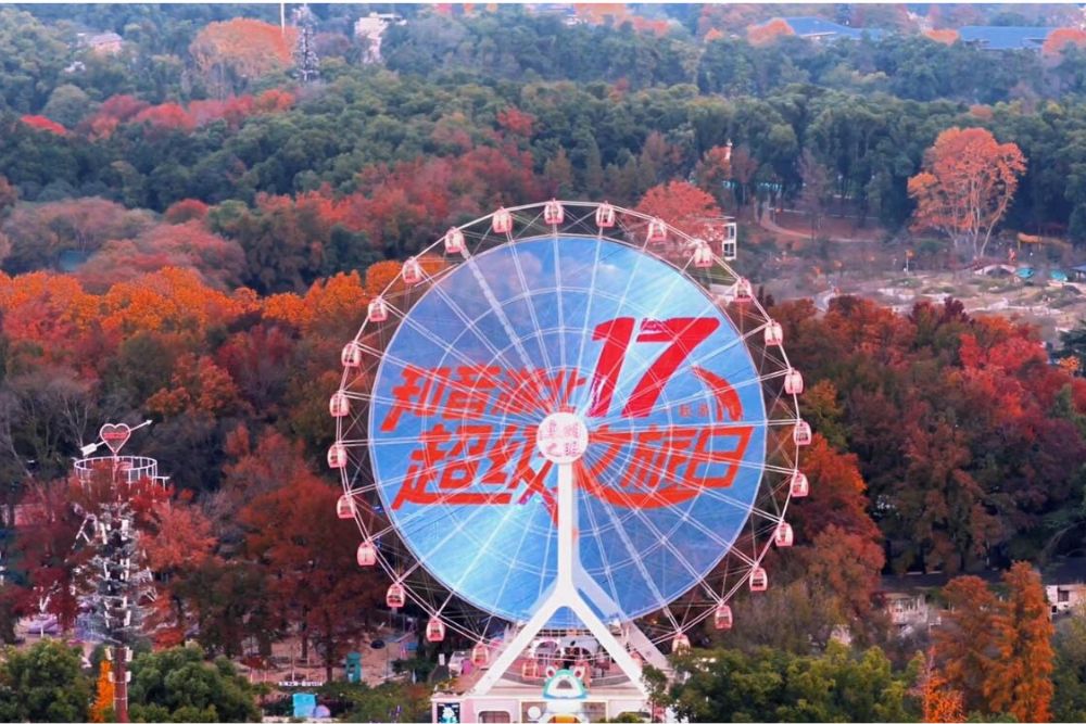 未命名的设计 - 2026-07-15T171824.865.jpg